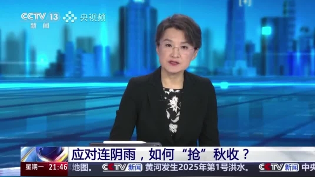 【主流媒體看周口】面對(duì)連陰雨 如何“搶”秋收？